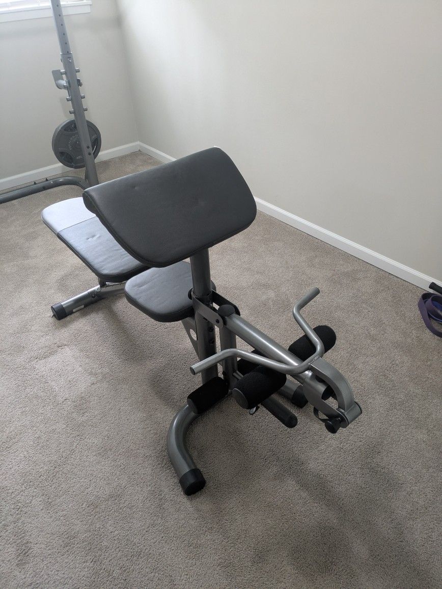 Gym Equipment Weights