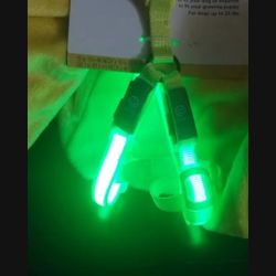 New LED Dog Harness $15