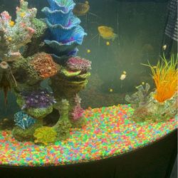 QUESTION OF THE DAY - Tank upgrade in your future? Here are some tips for  going bigger! - REEF2REEF Saltwater and Reef Aquarium Forum