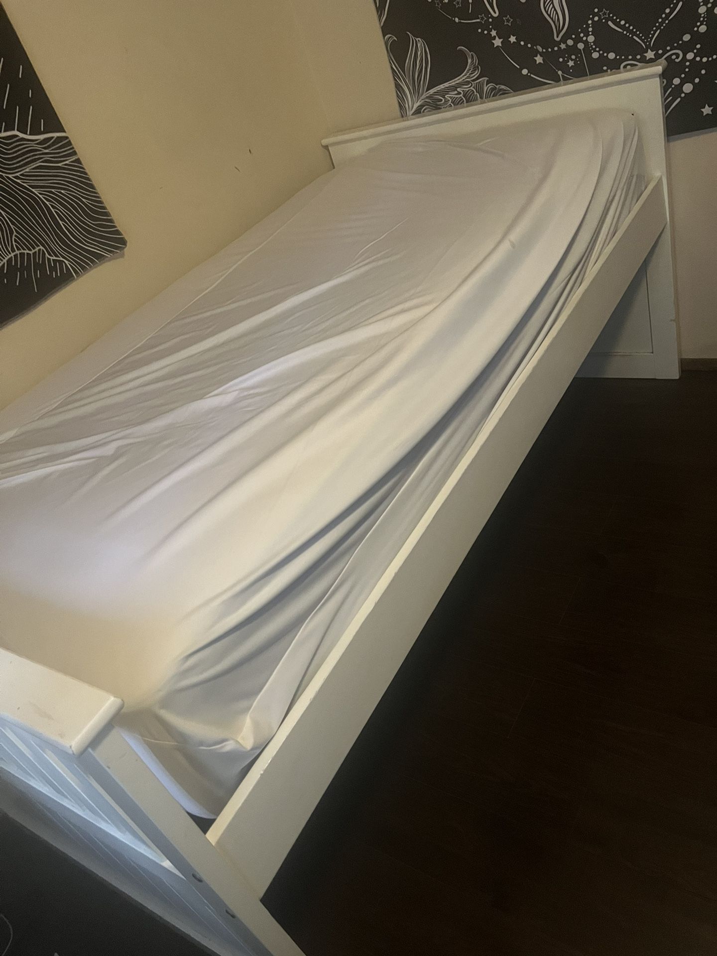 Twin Pull Out Bed With Both Mattresses 