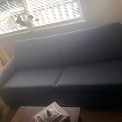 Blue Couch Bed 