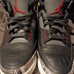 Air Jordan 3 Retro SE "Animal Instinct 2.0"