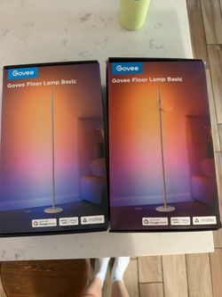 Govee lights