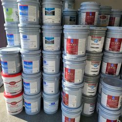 Paint For Sale 