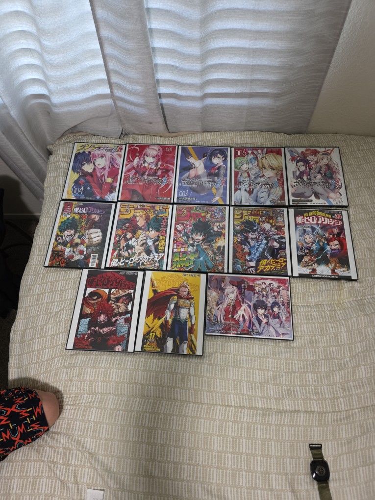 Framed Anime Artwork