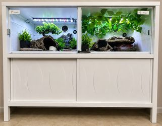 Reptile Enclosure Cabinet