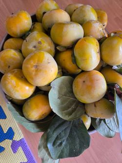 weet persimmon 4for $1