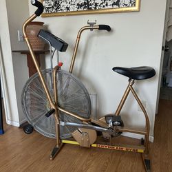 SCHWIIN Aerodyne Exercise Bicycle 