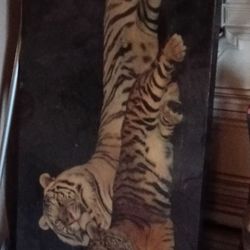 Tiger picture