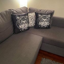 Sofa/Couch/Bed
