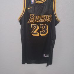 Nike Lebron James Los Angeles Lakers Jersey Size M-XL Youth/women Brand New  Purchased From Nike for Sale in San Diego, CA - OfferUp