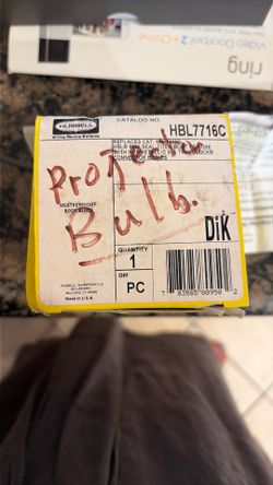 Projector bulb