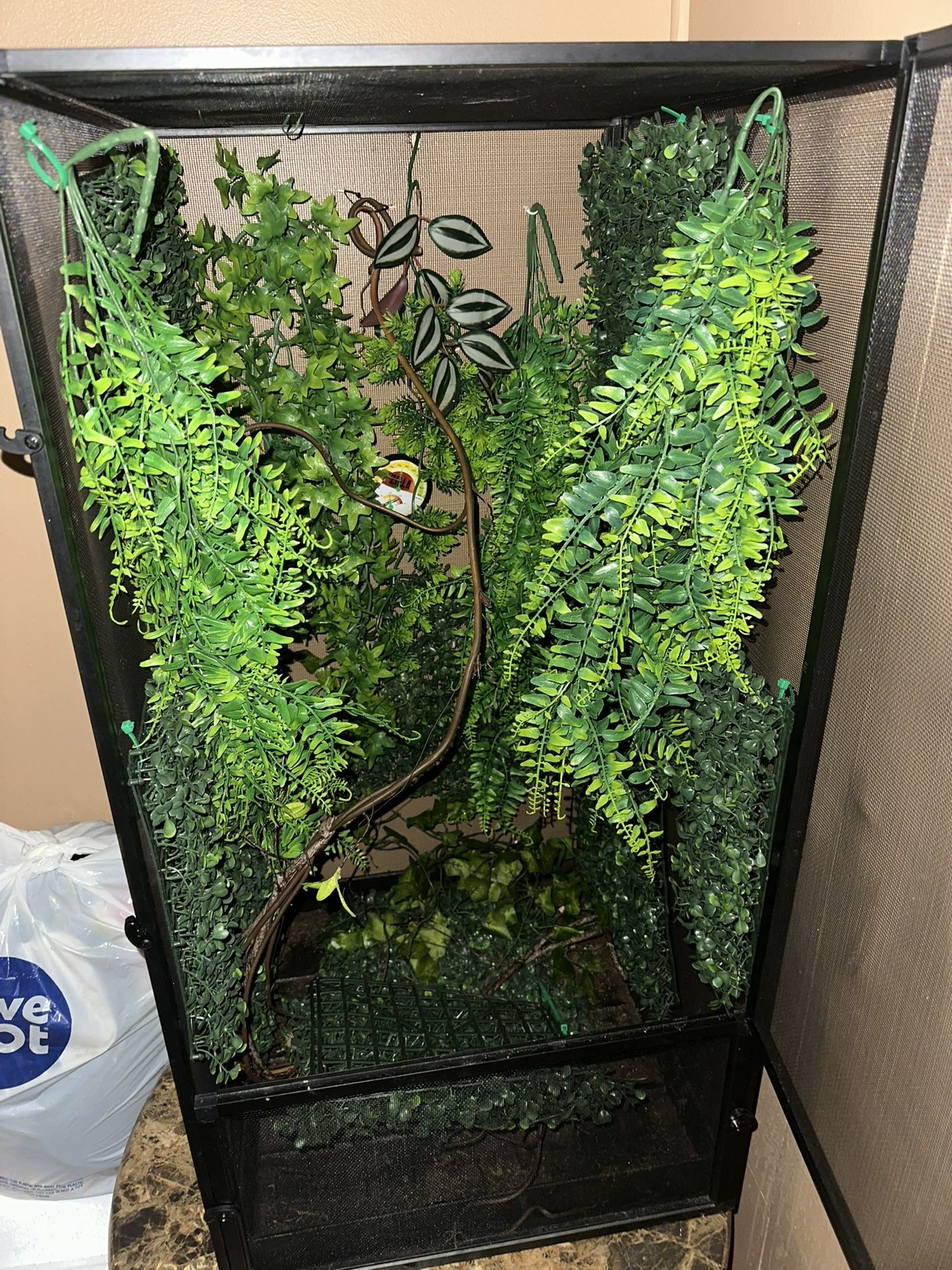 reptile tank