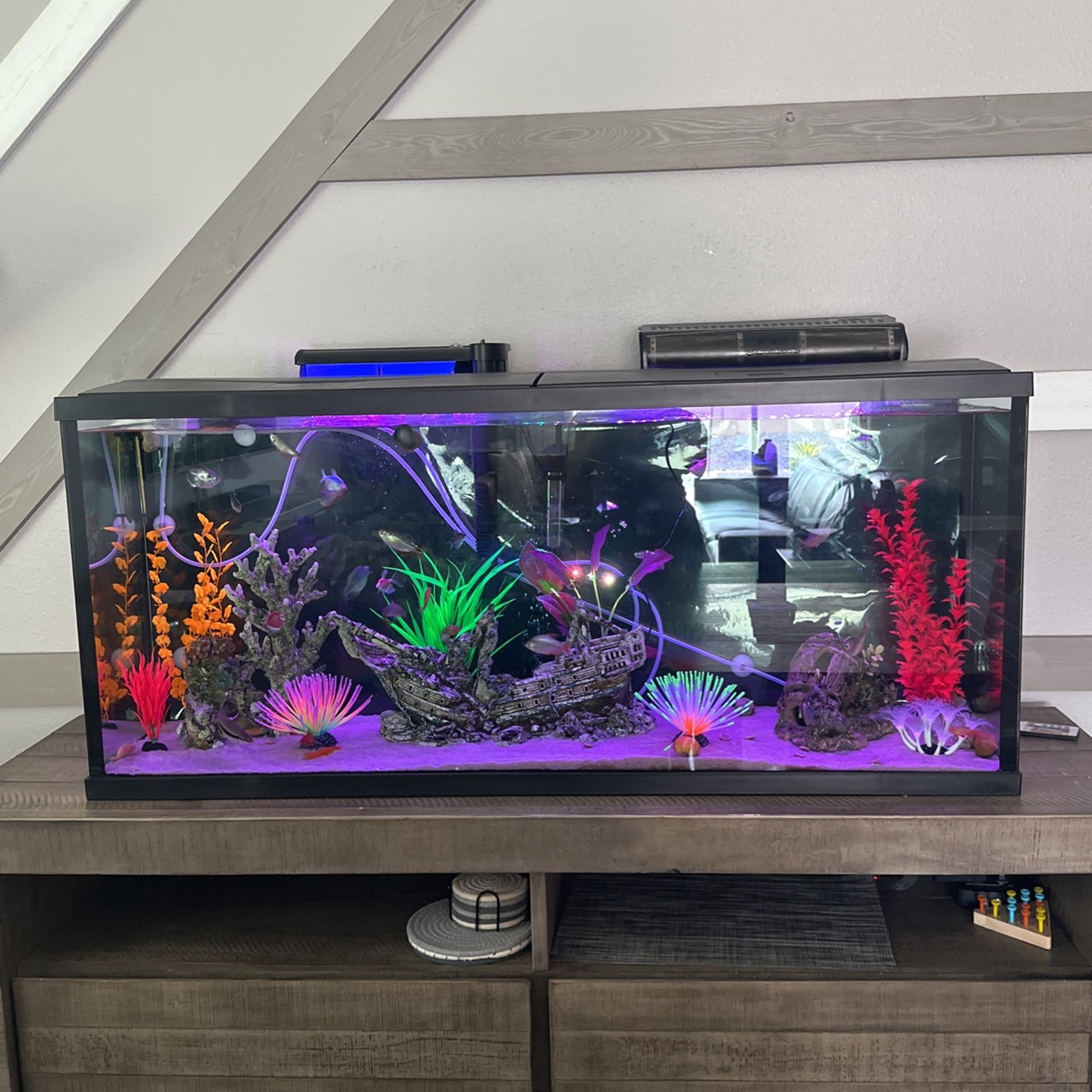 Beautiful 55” Fish Tank