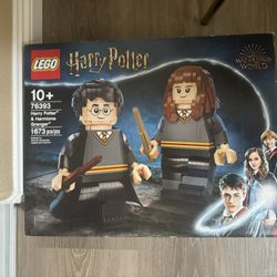 LEGO Harry Potter: Harry Potter & Hermione Granger (76393)