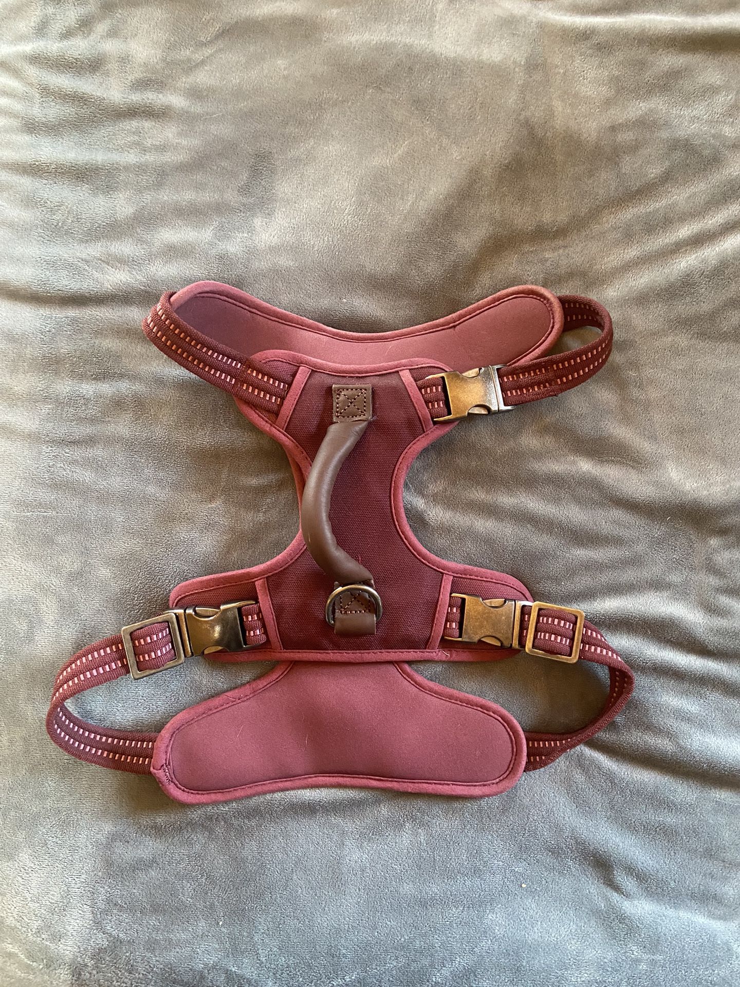 Brand New Harness For Large Dog