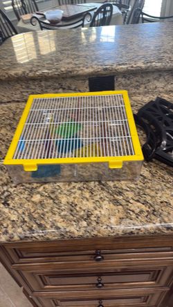 basic hamster set-up- designed for the Roborovski dwarf