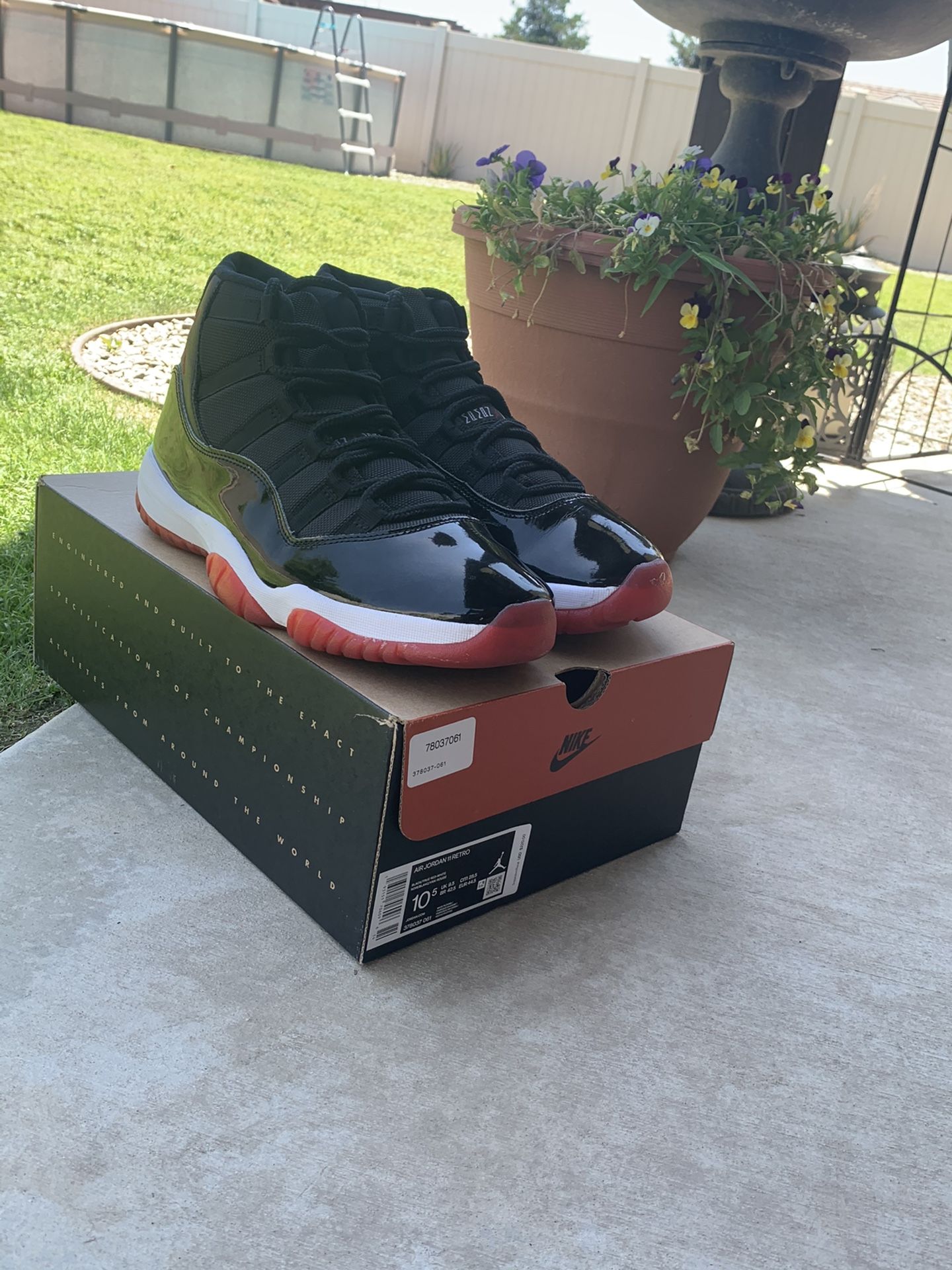 Jordan 11 bred 2019