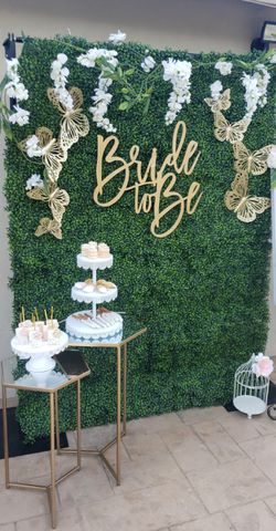 Bridal shower party planner and decoration. Rustic. Butterflies theme