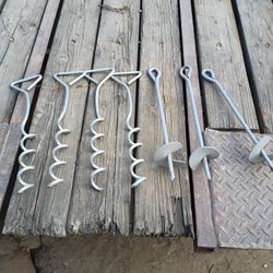 Lawn Stakes For Dogs