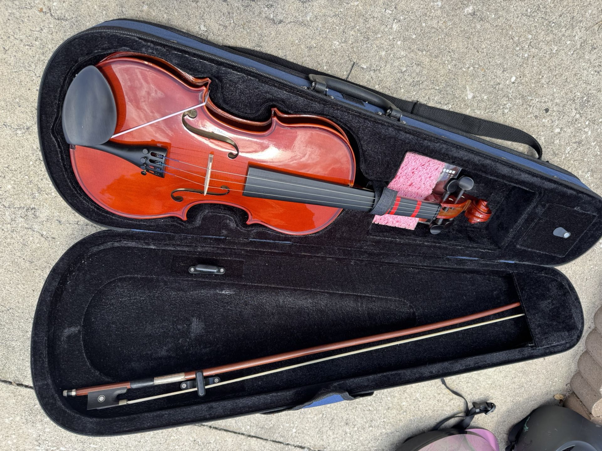 Violin