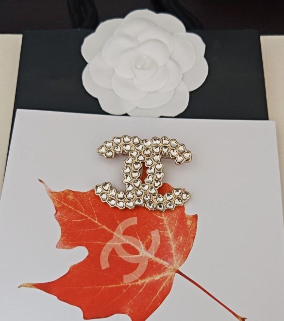 brooch