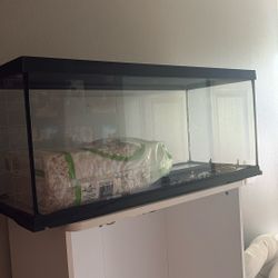 Glass Aquarium 