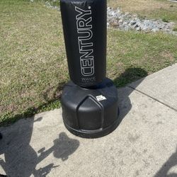 Punching Bag