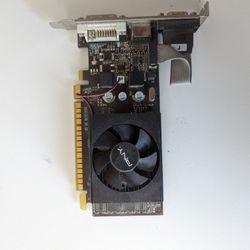 PNY GeForce GT610 1gb
