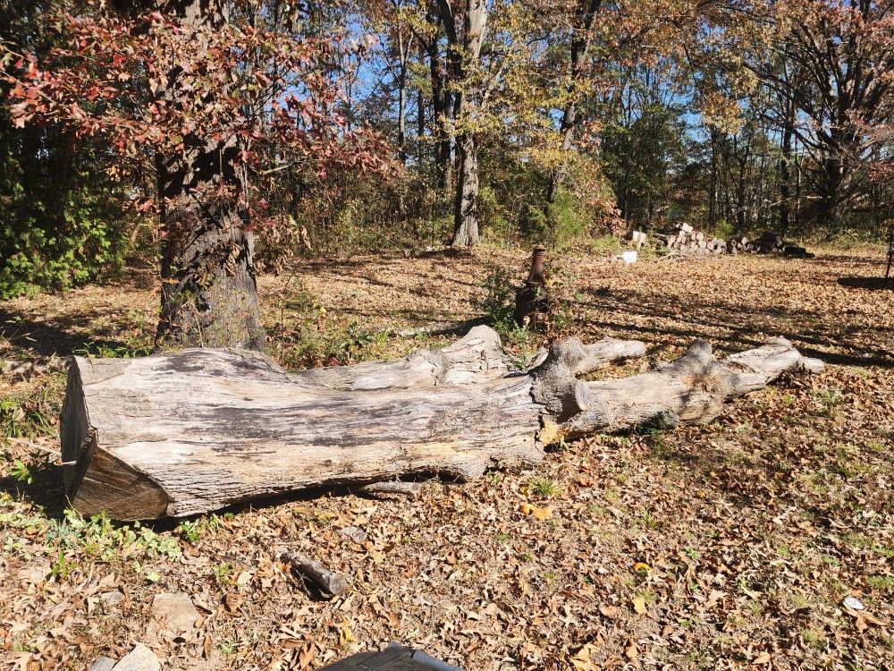 Free Seasoned Fire Wood