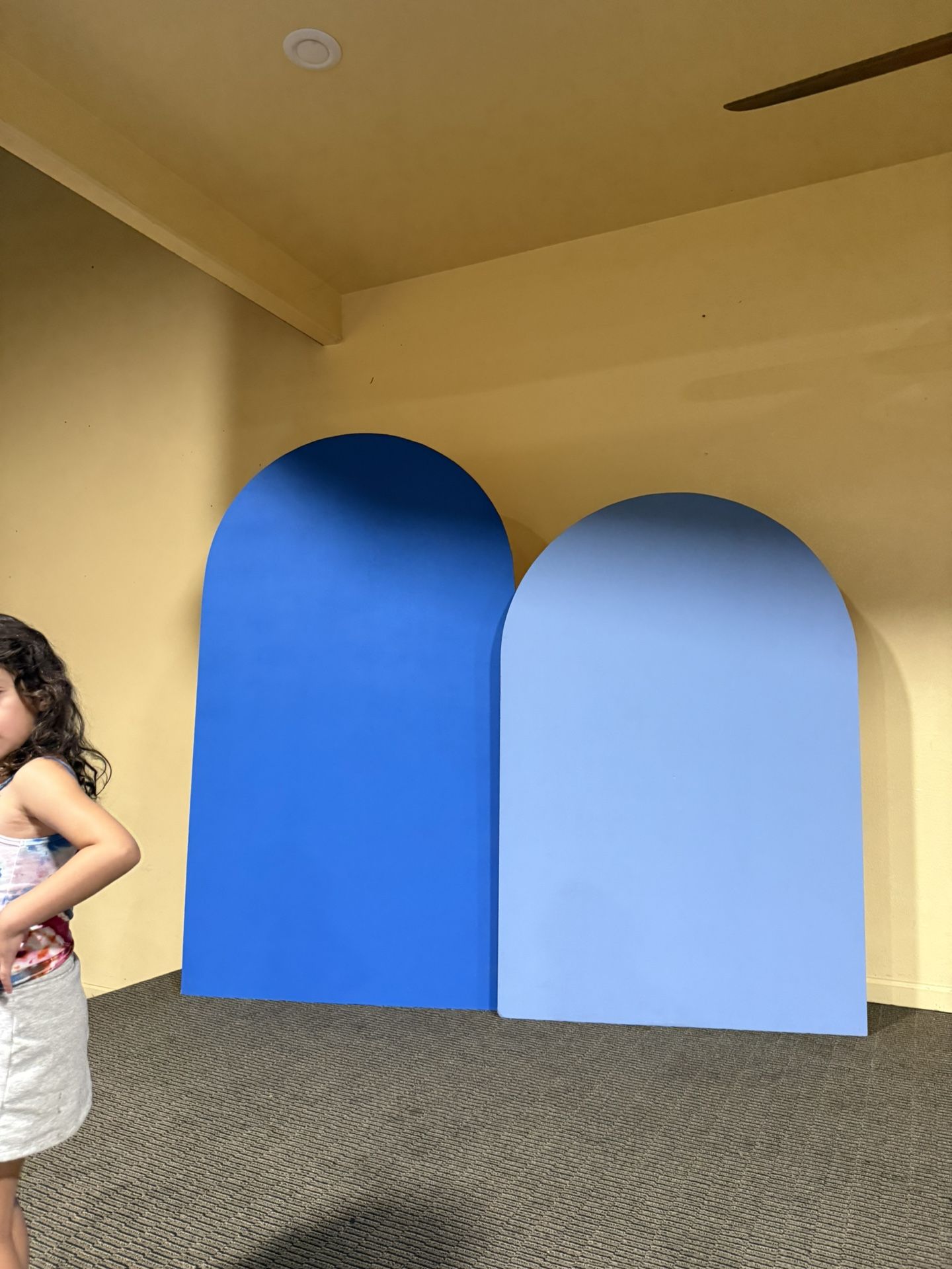 Backdrop