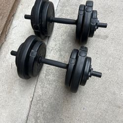 Pair 20 Pounds Weights 