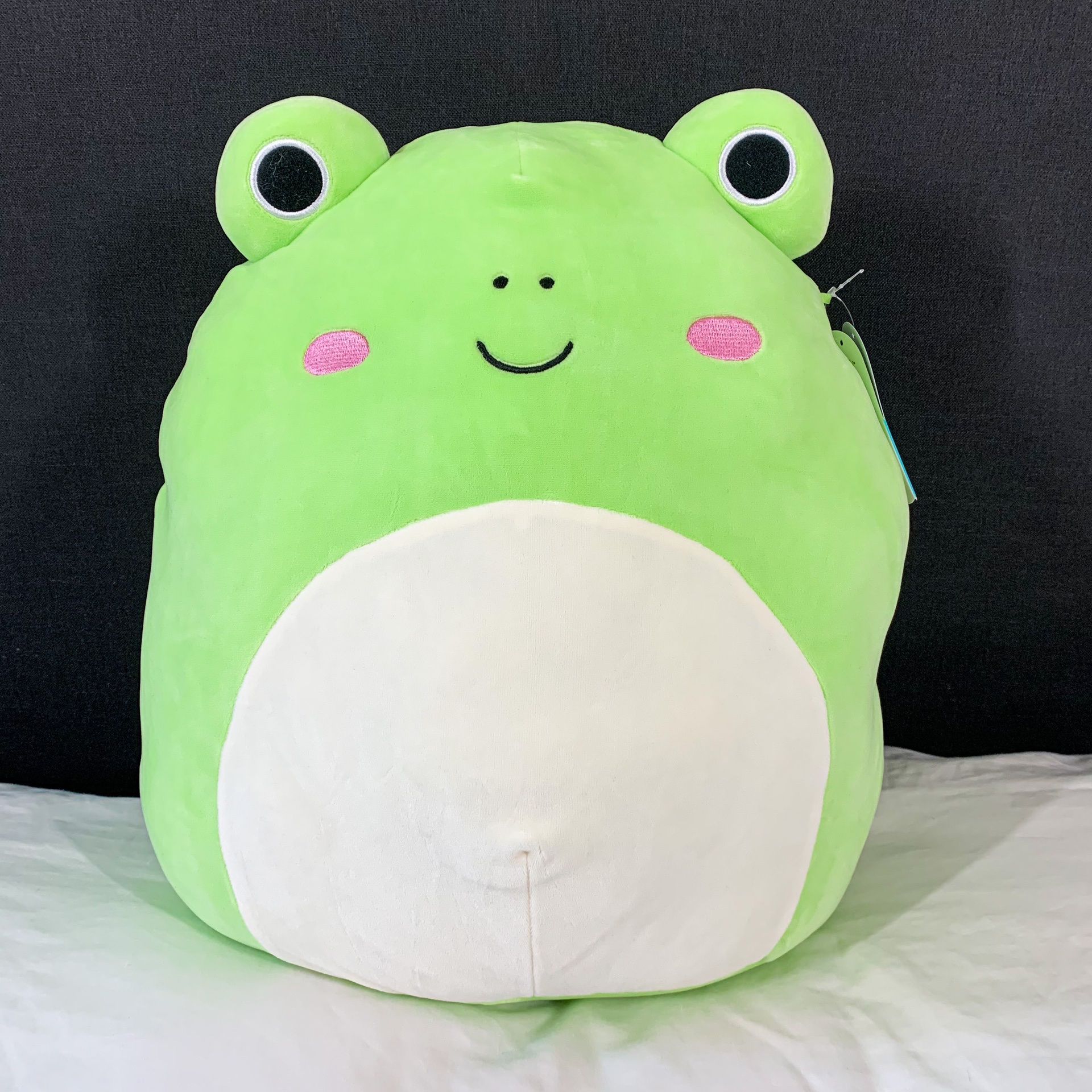 Wendy The Frog 16” Squishmallow Plush for Sale in San Jose, CA