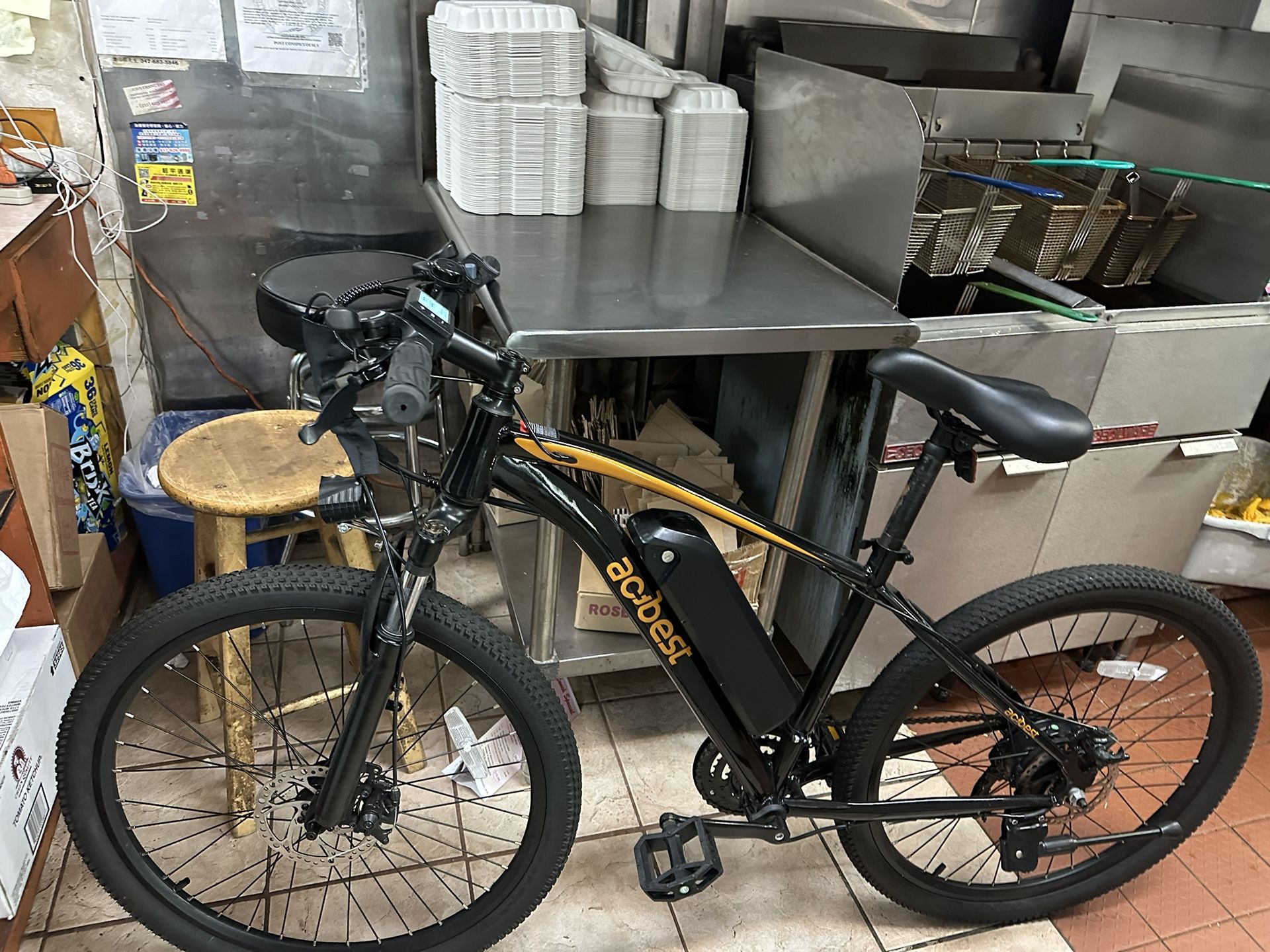 E Bike Electric