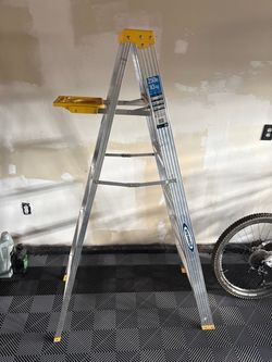 Werner 6 Foot Aluminum Ladder