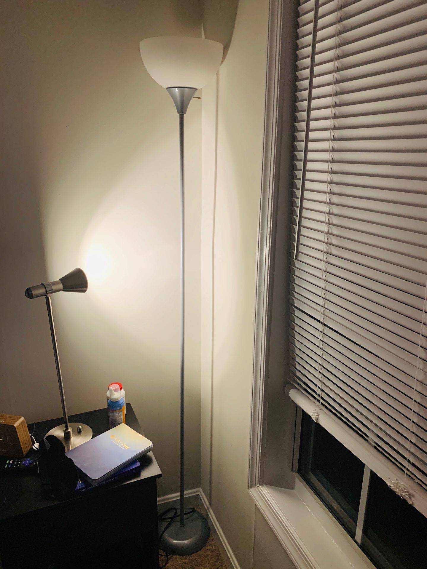 Standing lamp with plastic lampshade