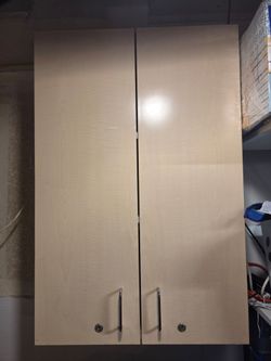 Wall Mounted 2-door Cabinet