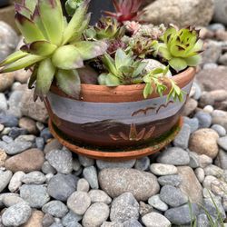 Small Southwest Design Succulent Planter