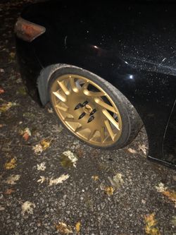 18 in Vossens for trade