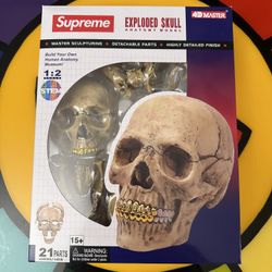 Supreme Exploded Skull Brand New 