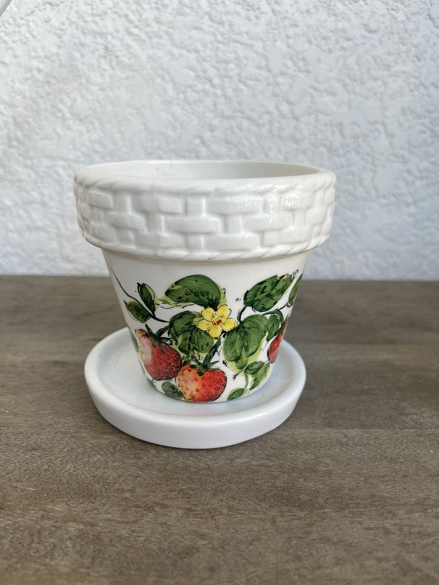 Strawberry Patch Flower Pot With a Saucer