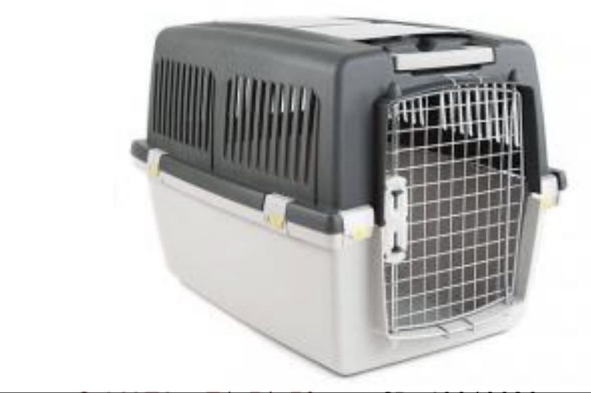 Dog Carrier