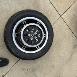 Harley Sportster Rear Wheel 