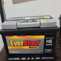 Everstart Maxx Group Size H5  ,650 CCA 