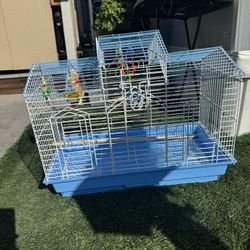 Bird Cage