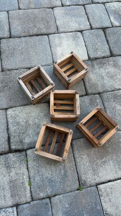 Orchid Boxes