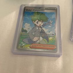 Pokemon Wally Compassion 