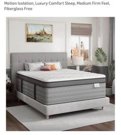 Amazon Mattress