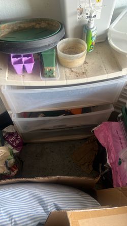 3 drawers plastic shelves -moving sale
