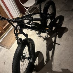 Electric Bicycle. 
